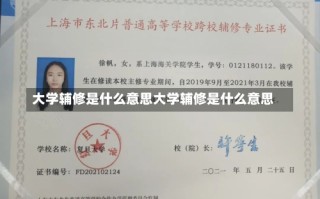 大学辅修是什么意思大学辅修是什么意思