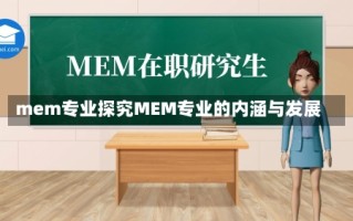 mem专业探究MEM专业的内涵与发展