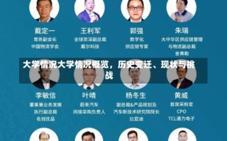 大学情况大学情况概览，历史变迁、现状与挑战