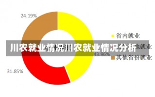 川农就业情况川农就业情况分析