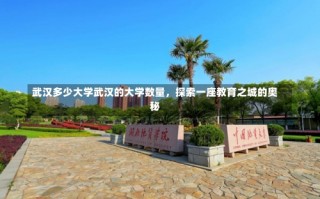 武汉多少大学武汉的大学数量，探索一座教育之城的奥秘