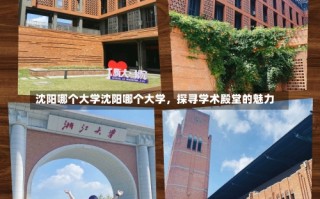 沈阳哪个大学沈阳哪个大学，探寻学术殿堂的魅力