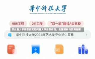 怎么查大学录取情况如何查大学录取情况，全面解析与实用指南