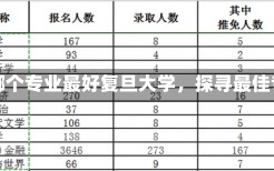 复旦大学哪个专业最好复旦大学，探寻最佳专业之路