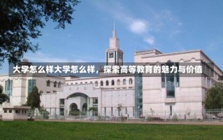 大学怎么样大学怎么样，探索高等教育的魅力与价值