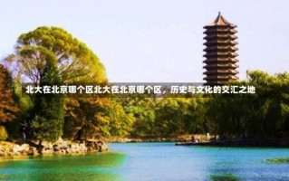 北大在北京哪个区北大在北京哪个区，历史与文化的交汇之地