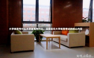 大学体育考什么大学体育考什么，深度探究大学体育考试的核心内容