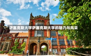 萨塞克斯大学萨塞克斯大学的魅力与风采