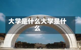 大学是什么大学是什么