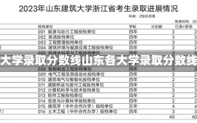 山东各大学录取分数线山东各大学录取分数线概览