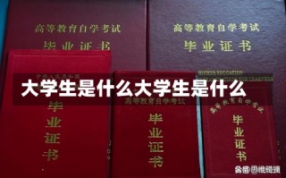 大学生是什么大学生是什么