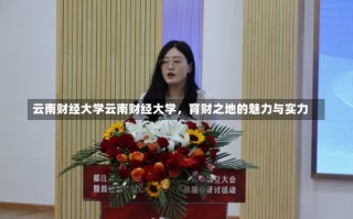 云南财经大学云南财经大学，育财之地的魅力与实力