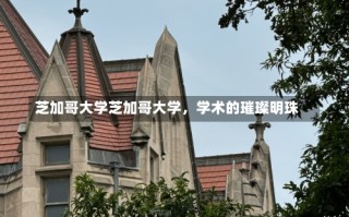 芝加哥大学芝加哥大学，学术的璀璨明珠