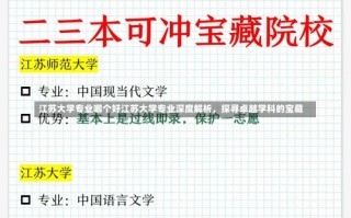 江苏大学专业哪个好江苏大学专业深度解析，探寻卓越学科的宝藏