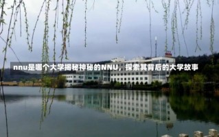 nnu是哪个大学揭秘神秘的NNU，探索其背后的大学故事