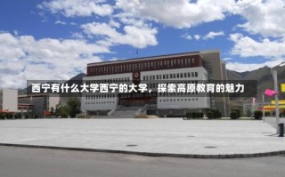 西宁有什么大学西宁的大学，探索高原教育的魅力