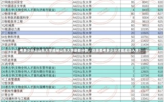 考多少分上山东大学揭秘山东大学录取分数，你需要考多少分才能成功入学？