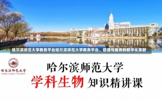 哈尔滨师范大学教务平台哈尔滨师范大学教务平台，管理与服务的数字化革新