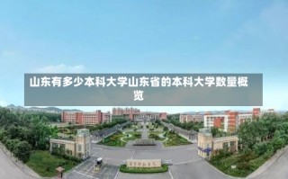 山东有多少本科大学山东省的本科大学数量概览