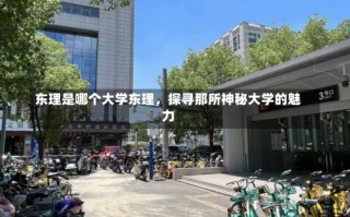 东理是哪个大学东理，探寻那所神秘大学的魅力