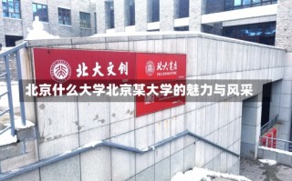 北京什么大学北京某大学的魅力与风采