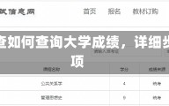 大学成绩怎么查如何查询大学成绩，详细步骤与注意事项