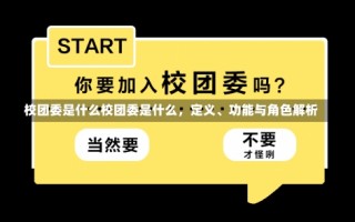 校团委是什么校团委是什么，定义、功能与角色解析