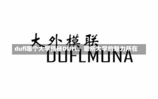 dufl哪个大学揭秘DUFL，哪所大学的魅力所在