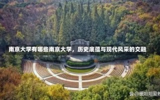 南京大学有哪些南京大学，历史底蕴与现代风采的交融