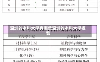 深圳的本科大学有哪些深圳的本科大学概览