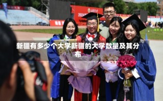 新疆有多少个大学新疆的大学数量及其分布