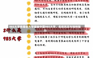 985大学有哪些大学揭秘中国985大学，名校风采与独特魅力