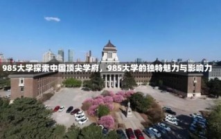 985大学探索中国顶尖学府，985大学的独特魅力与影响力