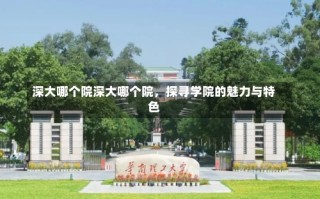 深大哪个院深大哪个院，探寻学院的魅力与特色