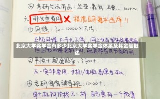 北京大学奖学金有多少北京大学奖学金体系及其金额概述