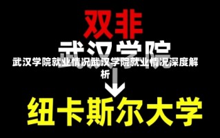 武汉学院就业情况武汉学院就业情况深度解析