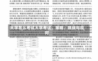 大学怎么考试大学考试，策略、挑战与应对