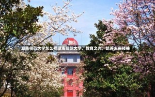 湖南师范大学怎么样湖南师范大学，教育之光，培养未来领袖