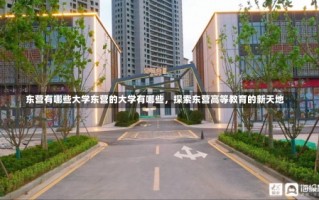 东营有哪些大学东营的大学有哪些，探索东营高等教育的新天地