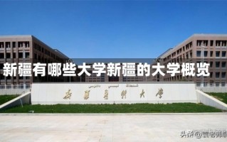 新疆有哪些大学新疆的大学概览