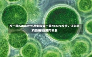 发一篇nature什么级别发表一篇Nature文章，迈向学术巅峰的荣耀与挑战