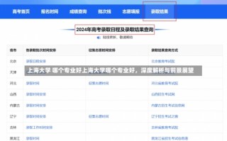 上海大学 哪个专业好上海大学哪个专业好，深度解析与前景展望