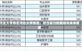 河北大学排名河北大学排名，综合实力的展现与未来展望