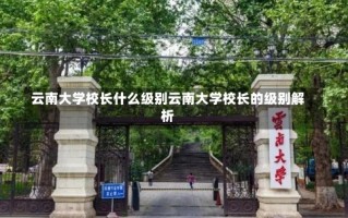 云南大学校长什么级别云南大学校长的级别解析