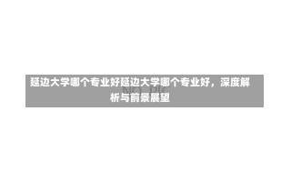 延边大学哪个专业好延边大学哪个专业好，深度解析与前景展望