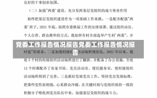 党委工作报告情况报告党委工作报告情况报告