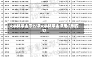 大学奖学金怎么评大学奖学金评定机制探究