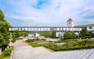 深圳什么大学深圳的璀璨明珠，一所大学的独特风采