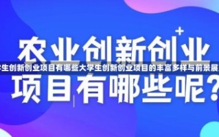 大学生创新创业项目有哪些大学生创新创业项目的丰富多样与前景展望