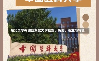 东北大学有哪些东北大学概览，历史、专业与特色